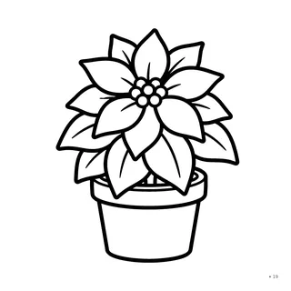 a potted poinsettia