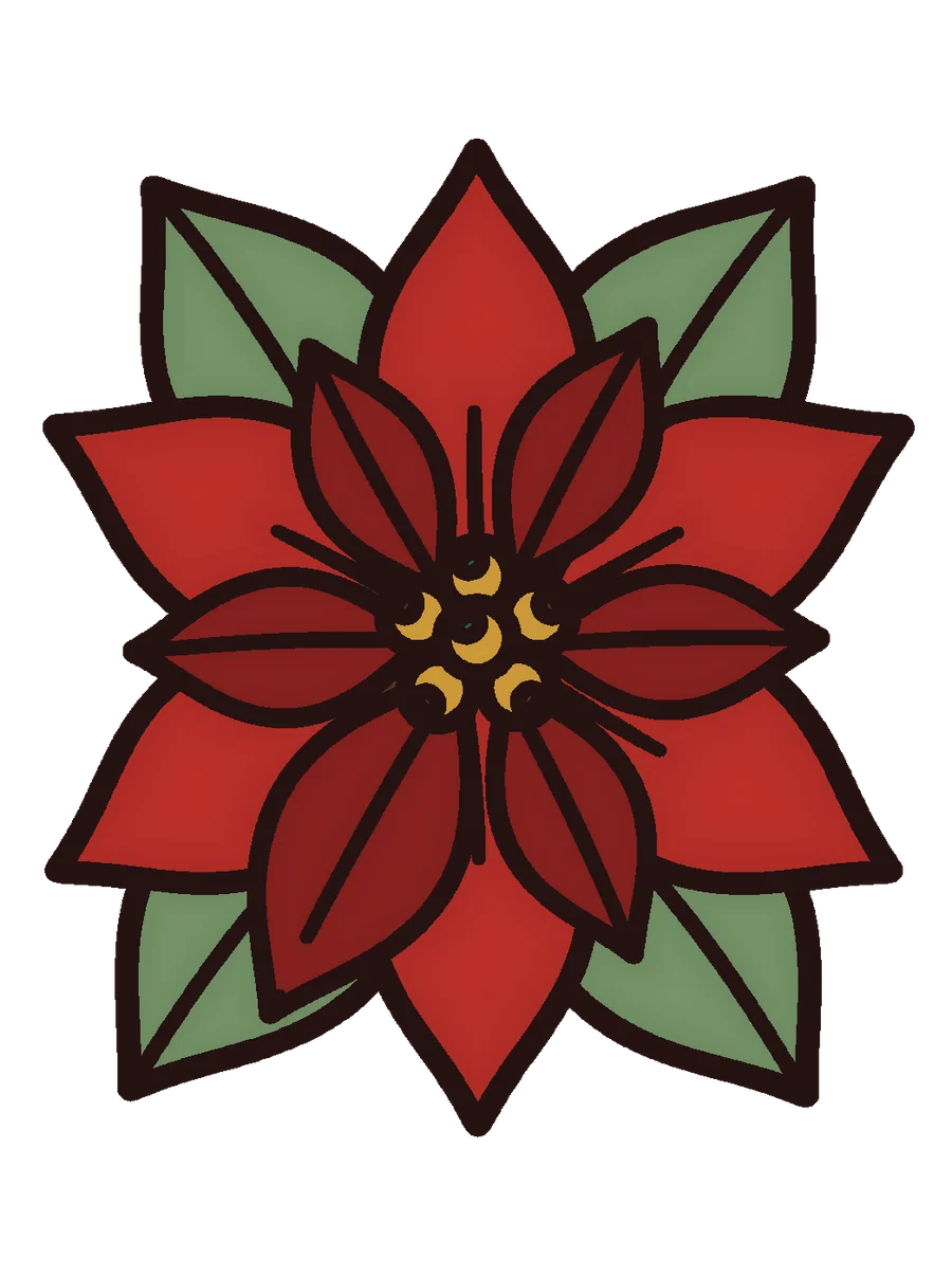 a single poinsettia bloom, colored